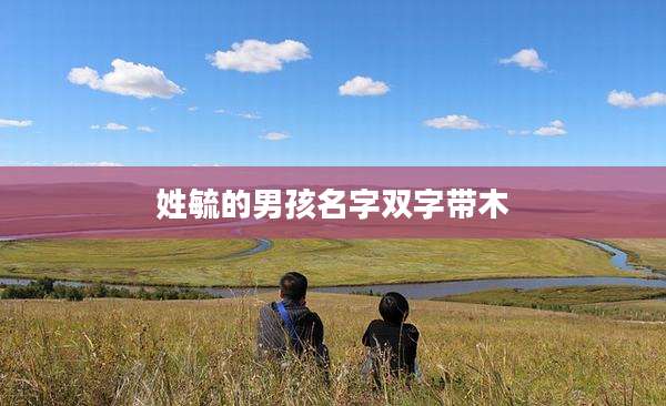 姓毓的男孩名字双字带木