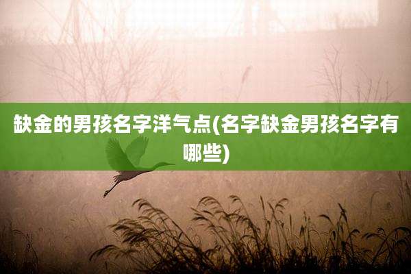 缺金的男孩名字洋气点(名字缺金男孩名字有哪些)