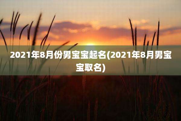 2021年8月份男宝宝起名(2021年8月男宝宝取名)