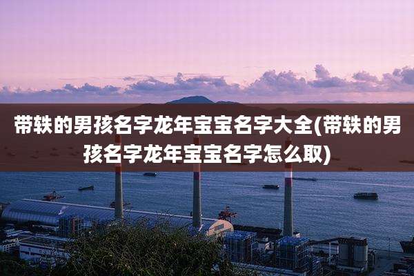带轶的男孩名字龙年宝宝名字大全(带轶的男孩名字龙年宝宝名字怎么取)