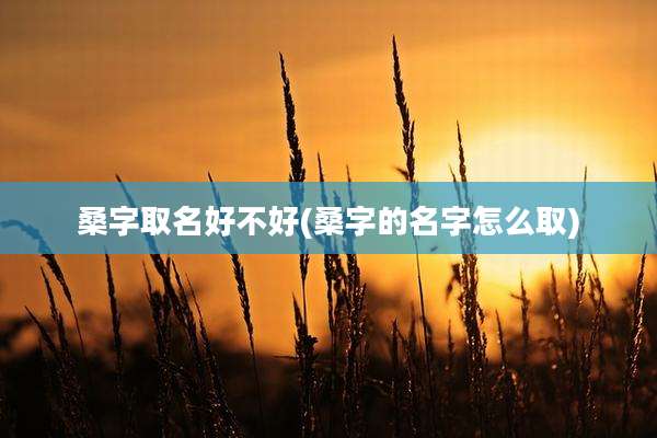 桑字取名好不好(桑字的名字怎么取)