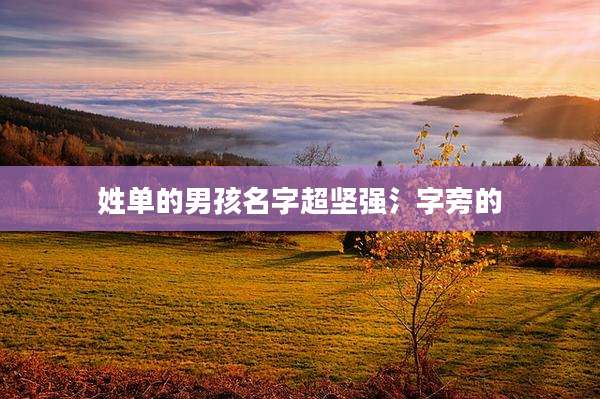 姓单的男孩名字超坚强氵字旁的