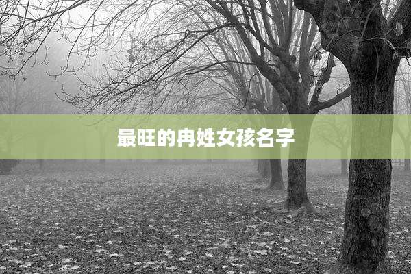 最旺的冉姓女孩名字