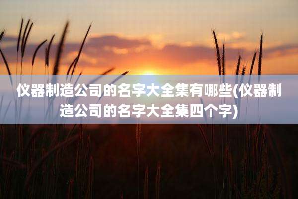 仪器制造公司的名字大全集有哪些(仪器制造公司的名字大全集四个字)