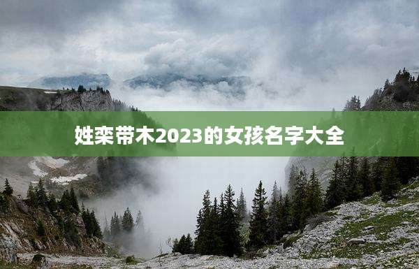 姓栾带木2023的女孩名字大全
