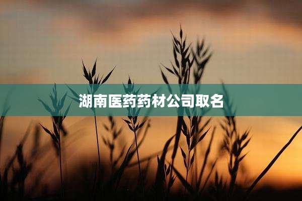 湖南医药药材公司取名