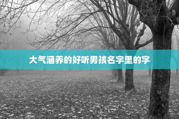 大气涵养的好听男孩名字里的字