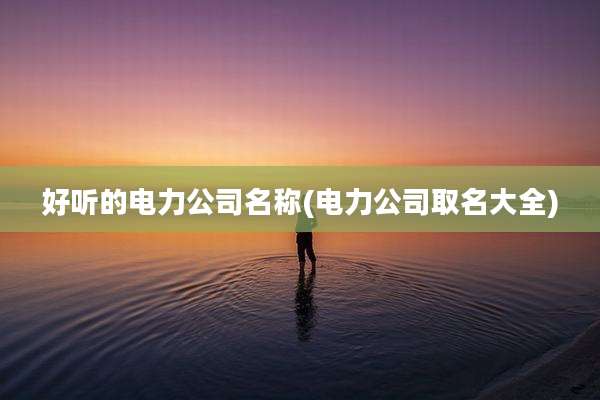 好听的电力公司名称(电力公司取名大全)