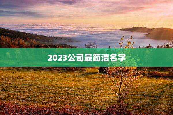 2023公司最简洁名字