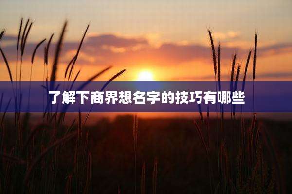 了解下商界想名字的技巧有哪些
