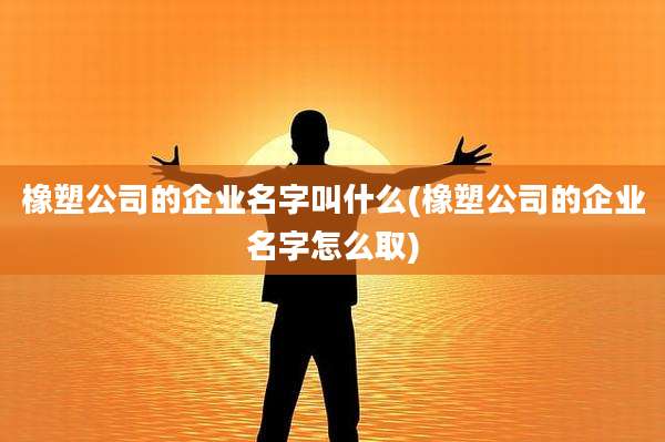橡塑公司的企业名字叫什么(橡塑公司的企业名字怎么取)
