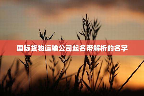 国际货物运输公司起名带解析的名字