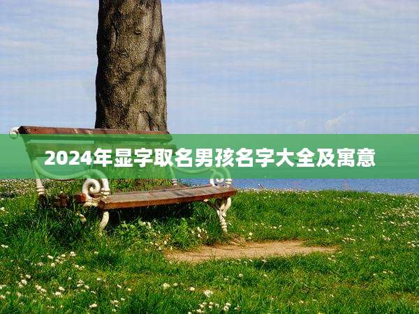 2024年显字取名男孩名字大全及寓意