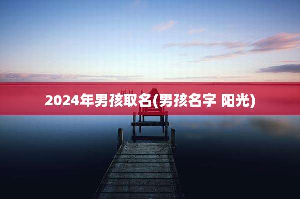 2024年男孩取名(男孩名字 阳光)