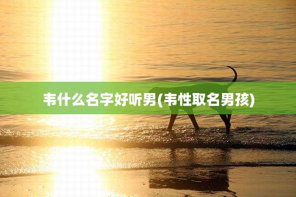 韦什么名字好听男(韦性取名男孩)