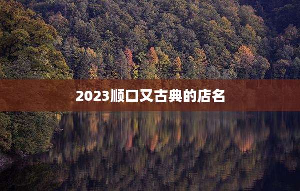 2023顺口又古典的店名
