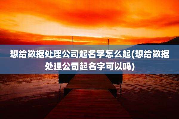 想给数据处理公司起名字怎么起(想给数据处理公司起名字可以吗)