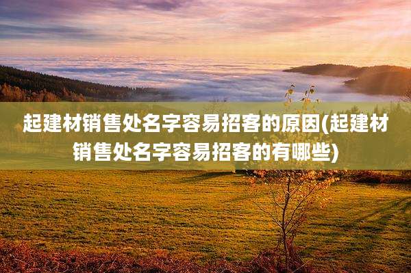 起建材销售处名字容易招客的原因(起建材销售处名字容易招客的有哪些)