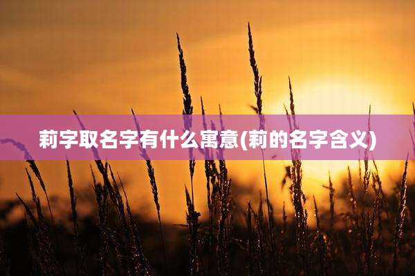 莉字取名字有什么寓意(莉的名字含义)