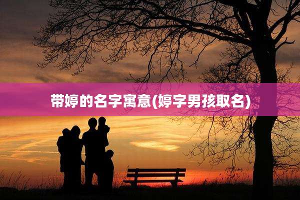 带婷的名字寓意(婷字男孩取名)