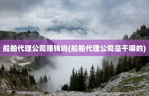 船舶代理公司赚钱吗(船舶代理公司是干嘛的)