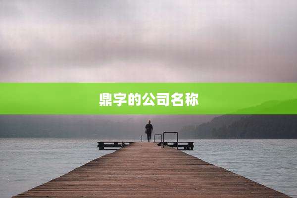 鼎字的公司名称