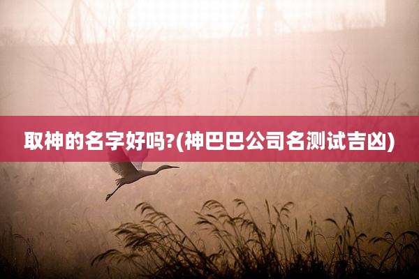 取神的名字好吗?(神巴巴公司名测试吉凶)