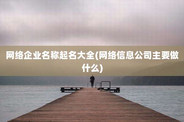 网络企业名称起名大全(网络信息公司主要做什么)