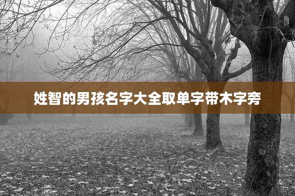 姓智的男孩名字大全取单字带木字旁