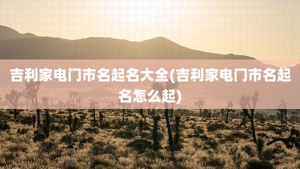 吉利家电门市名起名大全(吉利家电门市名起名怎么起)