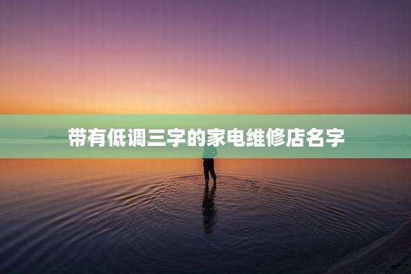 带有低调三字的家电维修店名字
