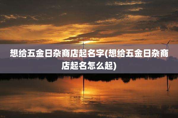 想给五金日杂商店起名字(想给五金日杂商店起名怎么起)