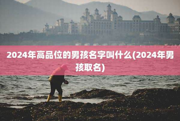 2024年高品位的男孩名字叫什么(2024年男孩取名)