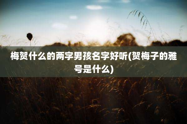 梅贺什么的两字男孩名字好听(贺梅子的雅号是什么)