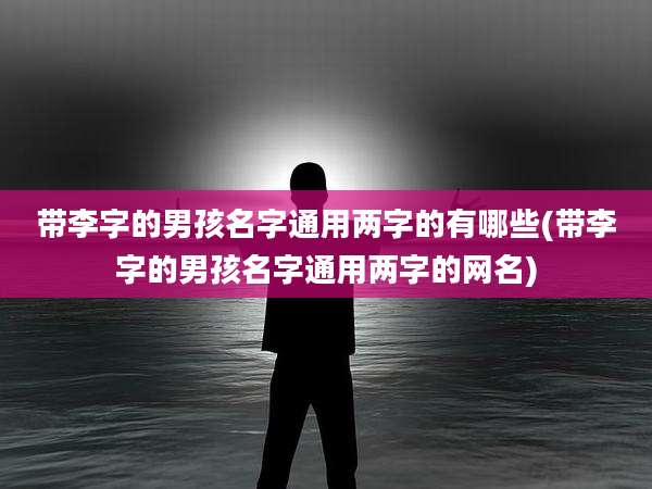 带李字的男孩名字通用两字的有哪些(带李字的男孩名字通用两字的网名)