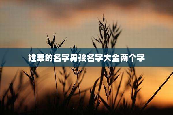 姓辜的名字男孩名字大全两个字