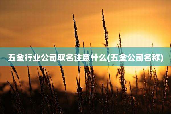 五金行业公司取名注意什么(五金公司名称)