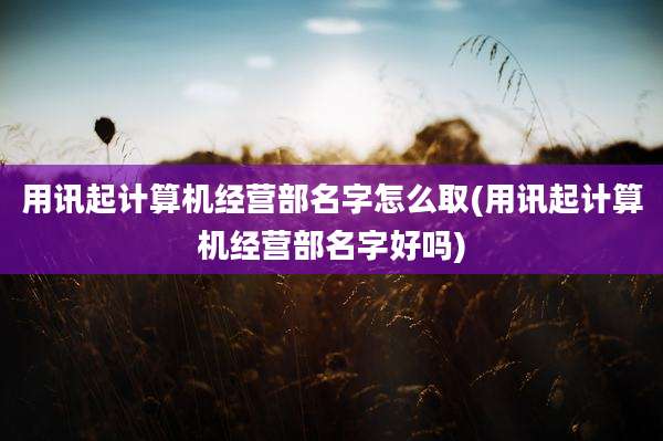 用讯起计算机经营部名字怎么取(用讯起计算机经营部名字好吗)