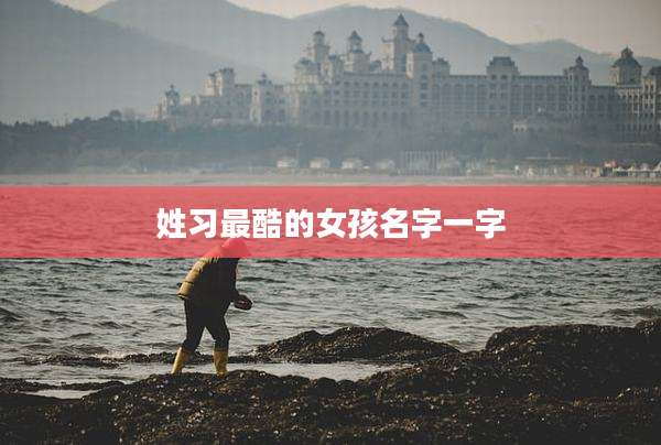 姓习最酷的女孩名字一字