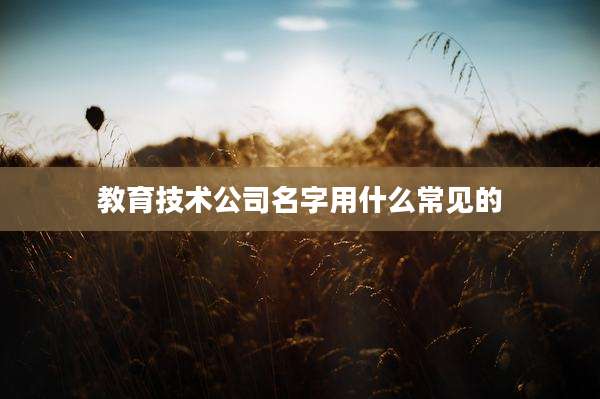 教育技术公司名字用什么常见的