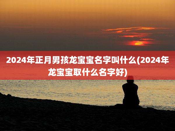 2024年正月男孩龙宝宝名字叫什么(2024年龙宝宝取什么名字好)