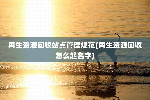 再生资源回收站点管理规范(再生资源回收怎么起名字)