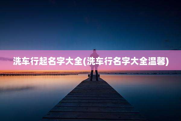 洗车行起名字大全(洗车行名字大全温馨)