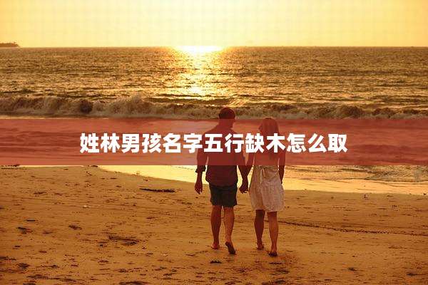 姓林男孩名字五行缺木怎么取
