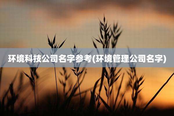 环境科技公司名字参考(环境管理公司名字)