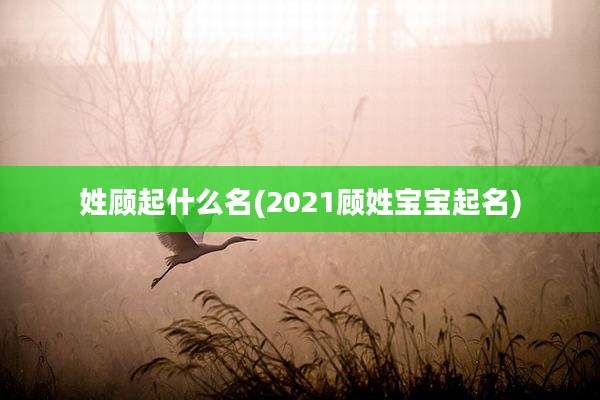 姓顾起什么名(2021顾姓宝宝起名)