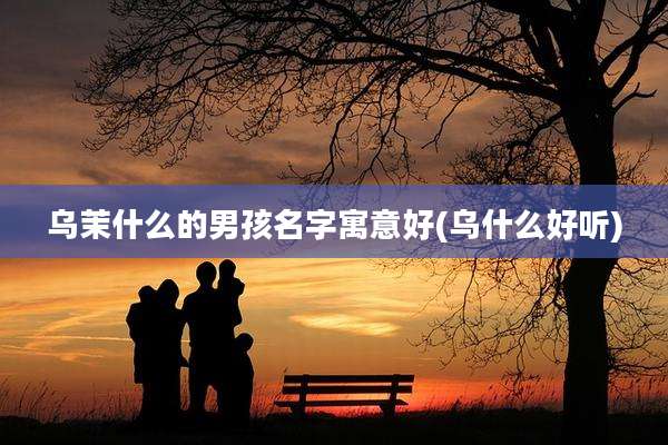 乌茉什么的男孩名字寓意好(乌什么好听)