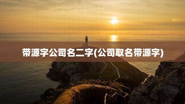带源字公司名二字(公司取名带源字)