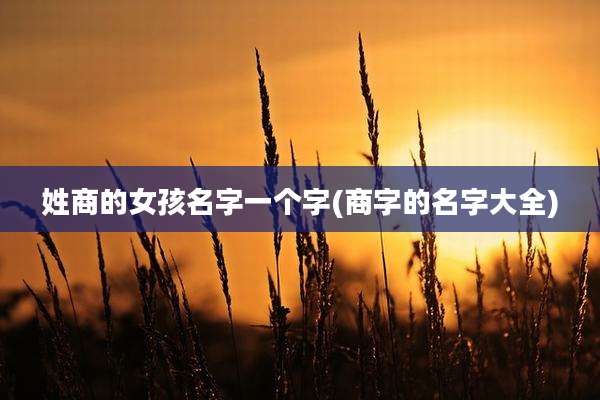 姓商的女孩名字一个字(商字的名字大全)