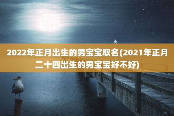 2022年正月出生的男宝宝取名(2021年正月二十四出生的男宝宝好不好)